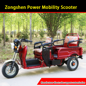 Triciclo a benzina per famiglie piccole signore anziani e bambini Pick-up & Walk corpo chiuso per Cargo & auto - Product Image 3