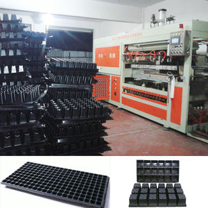 Offre Spéciale Automatique Bac à Semis En <span class=keywords><strong>Plastique</strong></span>/Plateau d'oeufs/Plateau à gâteaux Sous Vide Formant la Machine - Product Image 5