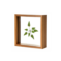Nordique Simple plante de fleur séchée Double face Table en verre Transparent cadre photo créatif cadre de spécimen