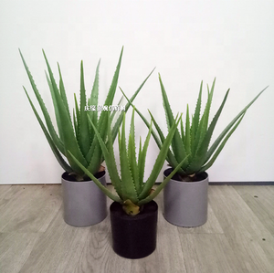 Planta Artificial <span class=keywords><strong>de</strong></span> Aloe <span class=keywords><strong>Vera</strong></span> en Maceta, Bonsái Suculento, Decoración <span class=keywords><strong>de</strong></span> Interiores para el Hogar y la Oficina - Product Image 1