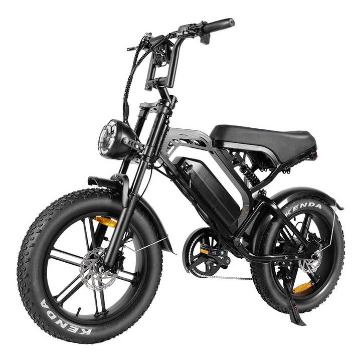 Netherlands 48V 250W Electric Fat Tire E-Bike for Adults - Durable Steel  Frame, 7 Speed, 60+ km Range, Customized Logo Options