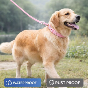 ชุดปลอกคอและสายจูงสุนัขแบบกันน้ำ ทำจาก PVC ปรับขนาดได้ ป้องกันกลิ่น ทำความสะอาดง่าย สำหรับสุนัขขนาดเล็ก กลาง ใหญ่ ใช้สำหรับเดินเล่นและฝึกสุนัข - Product Image 2