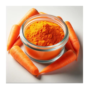 Carrot Powder Dehydrated Natural <b>Plant</b> Based Spray <b>Dried</b> Best Quality 25kg Bag Food Ingredient Raw Material Bulk Supply Export - Product Image 1