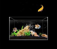 Bureau Petit Beta Fish Tank Maison Salon Micro Paysage Ultra Blanc Verre Acrylique Aquarium