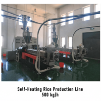 Ligne de production de riz enrichi à double extrudeuse, machine de fabrication de riz artificiel nutritif