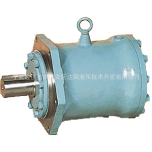 Moteur à pistons axiaux SXM1 E80 E100 E125 E160 E200 E250 F800, moteur hydraulique de type plongeur - Product Image 1