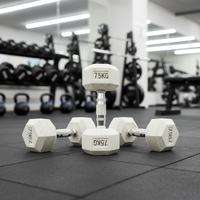 Haltères hexagonaux en caoutchouc durables sur mesure, vente en gros d'usine, équipement de musculation pour la maison et les salles de sport commerciales