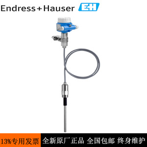 Medidor de Nivel Capacitivo Endress Hauser FTI55 BAC2RGJ43A1A L200mm a Prueba de Explosiones IP65 Acero 4-20mA - Product Image 3