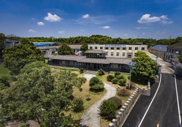 Factory price 41022 Chunmee Green Tea best green tea loose leaf High Quality tea 4011