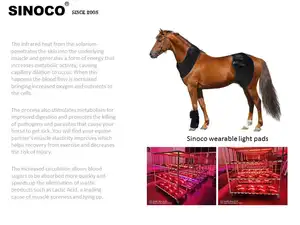 馬のストール赤色光療法馬のソラリウム赤色光療法は赤色光療法馬を導きました