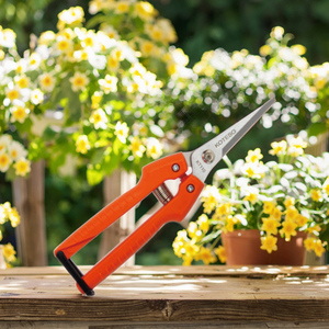 Cisaille manuelle de <span class=keywords><strong>taille</strong></span>-haie pour verger, <span class=keywords><strong>prix</strong></span> de gros, lame en acier au carbone de haute qualité, rouge et argent, vente chaude, pour usage en jardin, Apple 20cm - Product Image 5