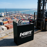 Batterie au lithium haute capacité 24V230Ah pour chariot élévateur électrique