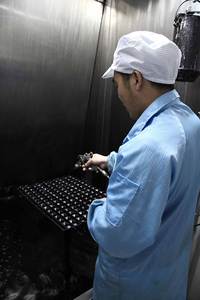 Nouveau 50512681,505201164534.72453472,1608681280 Interrupteur de lève-vitre pour <span class=keywords><strong>FIAT</strong></span> CitroenJaguar Lancia pour ALFA ROMEO - Product Image 5