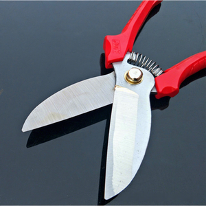 Jiulifeng Heavy Duty Garlic <b>Scissors</b> Stainless Steel 3.5 Blade Big Head Agricultural Use High Carbon Steel Lightweight <b>Kitchen</b> - Product Image 1