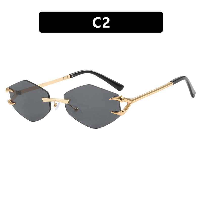 S030-C2-gris