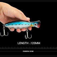 Hunter — appât en plastique ABS pour la pêche en surface et eau salée, leurre popper, 120mm, vente en gros