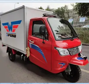 2020 Promozionale Mini Camion 300cc scatola asciutta 3 ruote del triciclo