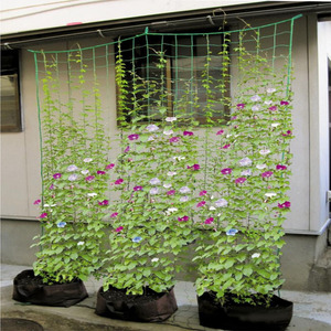 <span class=keywords><strong>Filet</strong></span> d'escalade de plante de fleur de légume de serre de jardin de vente directe d'usine 2023 - Product Image 5