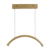 Plafonnier LED demi-lune doré pour salon de beauté, spa, photographie, température de couleur 3000-6000K, télécommande, certifié CE RoHS, OEM