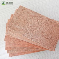 Contrachapado de Álamo de Grado E1 de 18 mm con Superficie Lisa, Tablero Comercial Económico para Muebles y Construcción General