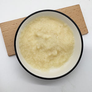 Fabricant sur mesure de pâte d'ail, prix export, pot en verre de 225g, sachet en vrac, HALAL Casher pour sauces et cuisson - Product Image 2