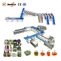 Industriële aardappelverwerkingslijn, groente- en fruitwas-, sorteer- en verpakkingslijnen, borstelrolschilmachine