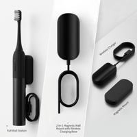 Fabricant BSCI, brosse à dents électrique douce et légère à 1 mode, logo privé, rechargeable, magnétique, brosse à dents électrique dentaire