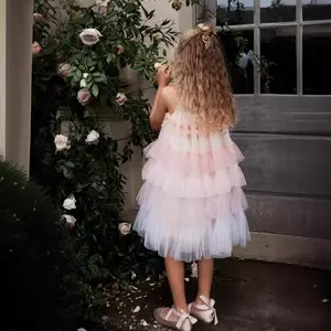 Instagram 브랜드 키즈 여름 얇은 명주 그물 볼 가운 생일 파티 이브닝 댄스웨어 옷 아기 프록 디자인 소녀 원피스