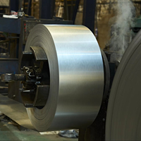 Bobine d'acier galvanisé résistant à la corrosion, revêtement en zinc, prête à la cintrage, service de découpe, certifiée TISI KS pour poutres de plafond