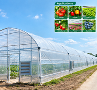 Complete set voor aardbeienkweek in kas: NFT-gootsysteem voor substraat