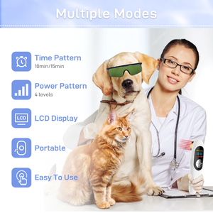 OEM ODM terapi anjing kuda <span class=keywords><strong>laser</strong></span> tingkat rendah pereda nyeri kaki cedera sendi penyembuhan instrumen dokter hewan - Product Image 5