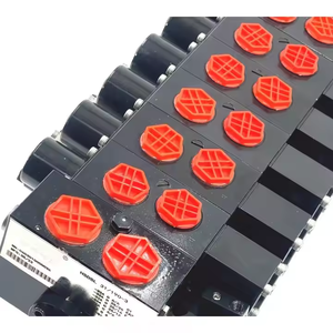 Solutions de marque privée pour vanne de commande à joystick proportionnelle et manuelle électrique HSDSL: Améliorez votre marque avec les produits Valve - Product Image 1