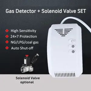 Détecteur d'alarme de gaz de cuisine domestique, détecteur de gaz de Propane de méthane de gpl de courant alternatif avec électrovanne d'arrêt