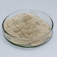 Enzyme alpha-amylase liquide haute température pour la production d'éthanol et la fermentation industrielle