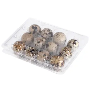 Bandeja de plástico de 12 huevos de codorniz, caja de embalaje transparente de alta calidad