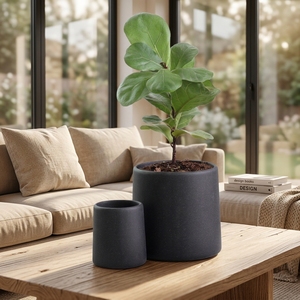 <span class=keywords><strong>Vasi</strong></span> per Fiori in <span class=keywords><strong>Cemento</strong></span> a Forma Conica con Colore Dipinto <span class=keywords><strong>Bianco</strong></span> e Nero per Decorazione Casa e Giardino - Product Image 1