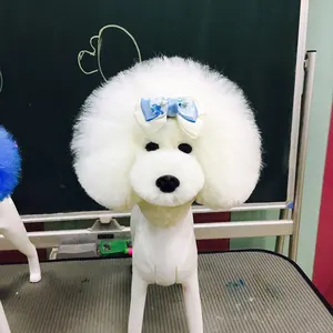 Pet Groomer Berlatih Kepala Anjing Wig Model Kepala Teddy