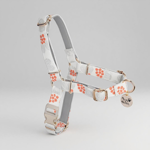 Harnais de mode de luxe pour chien confortable coton matériel respirant beau style personnalisé luxe chien marche en gros OEM ODM - Product Image 1