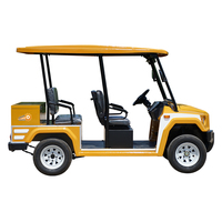 Voiture électrique 5 places en métal, acier et plastique, chariot de golf tout-terrain, buggy de golf, scooter de golf électrique