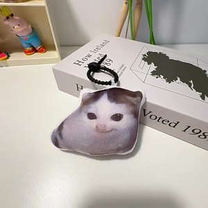 Llavero de Peluche Personalizado - Mini Almohada de Personaje de Anime de Algodón PP con Logotipo Termotransferible en Cualquier Forma - Product Image 1