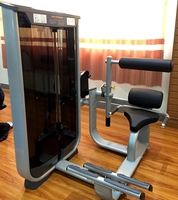 Machine d'extension dorsale VM-7002 à charge par poulie pour équipement de fitness, prix de gros