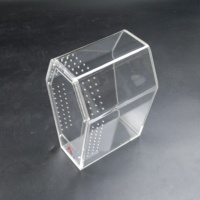 Coffret cercueil magnétique en acrylique de qualité supérieure ART Jumping Spider Tarentula Cage Reptile Terrarium