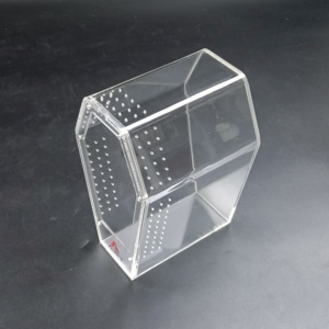 Coffret cercueil magnétique en acrylique de qualité supérieure ART Jumping Spider Tarentula Cage Reptile Terrarium - Product Image 2