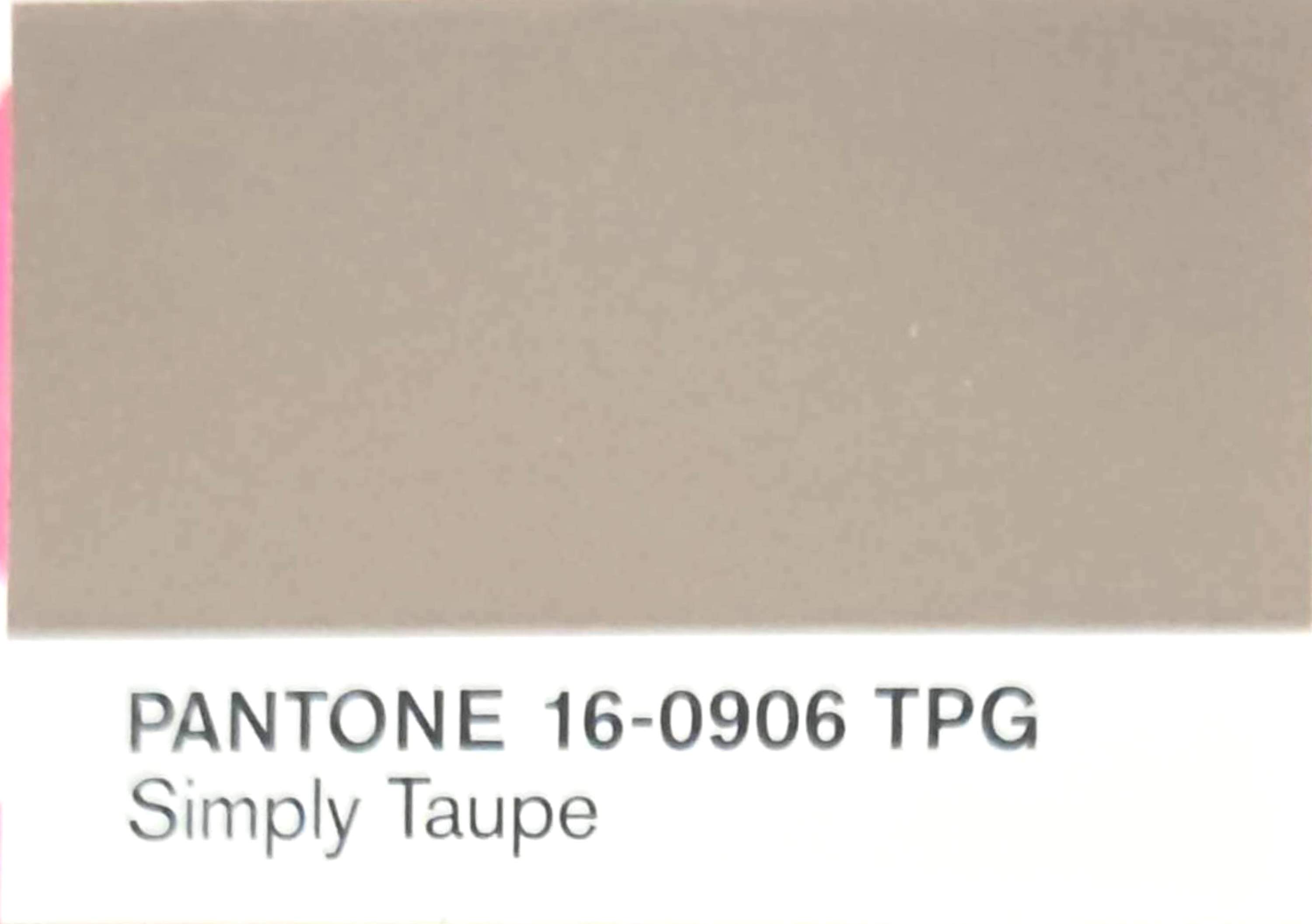 Simply Taupe