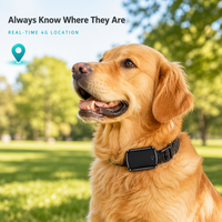 Traceur GPS pour animaux de compagnie avec logo personnalisé, suivi en temps réel 4G GPS WiFi LBS, localisateur pour chat et chien, OEM ODM, étanche, CE FCC, sans frais mensuels