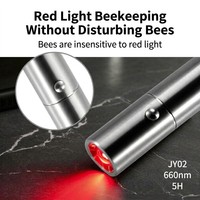 Lampe torche de luminothérapie rouge personnalisée en gros avec logo, 660nm 850nm, infrarouge portable pour soins de beauté, rechargeable, CE RoHS OEM ODM
