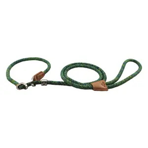 Hot Selling Dog Rope Adjustable Leash For Dog Walking P -chain Pet Leash