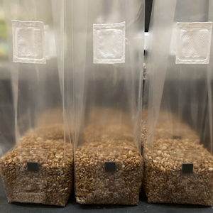 Kantung bibit jamur autoklaf 0.2 penyaring tas penumbuh jamur tiram untuk budidaya jamur - Product Image 4