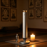 Diffuseur d'arômes sans fil 3004, nébuliseur rechargeable sans eau pour les voyages