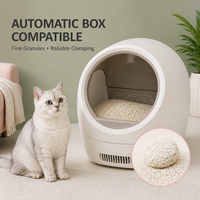 Litière pour chat au manioc anti-odeur, absorption rapide, faible poussière, formule pour des pattes propres, vente en gros, parfum et emballage personnalisés, service OEM ODM
